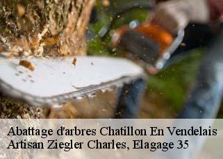 Abattage d'arbres  chatillon-en-vendelais-35210 Artisan Ziegler Charles, Elagage 35