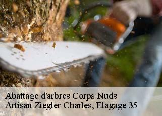 Abattage d'arbres  corps-nuds-35150 Artisan Ziegler Charles, Elagage 35