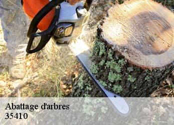 Abattage d'arbres 35410