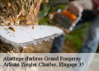 Abattage d'arbres  grand-fougeray-35390 Artisan Ziegler Charles, Elagage 35