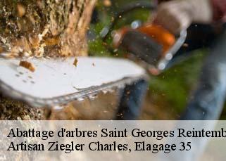 Abattage d'arbres  saint-georges-reintembault-35420 Artisan Ziegler Charles, Elagage 35