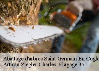 Abattage d'arbres saint-germain-en-cogles-35133 Artisan Ziegler Charles, Elagage 35