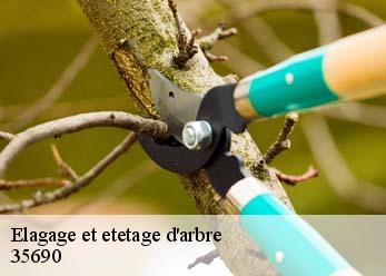 Elagage et etetage d'arbre  35690