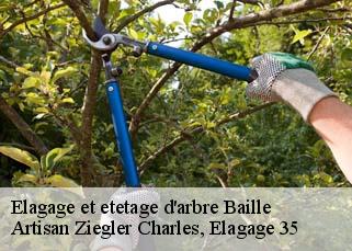 Elagage et etetage d'arbre  baille-35460 Artisan Ziegler Charles, Elagage 35