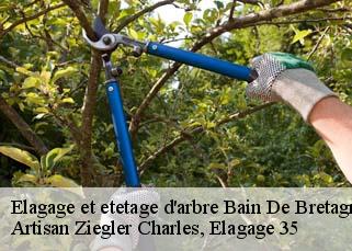 Elagage et etetage d'arbre  bain-de-bretagne-35470 Artisan Ziegler Charles, Elagage 35