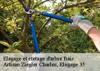 Elagage et etetage d'arbre  bais-35680 Artisan Ziegler Charles, Elagage 35