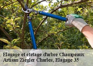 Elagage et etetage d'arbre  champeaux-35500 Artisan Ziegler Charles, Elagage 35