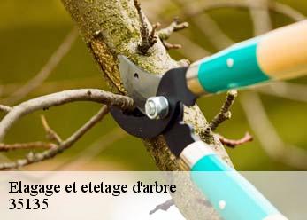 Elagage et etetage d'arbre  35135