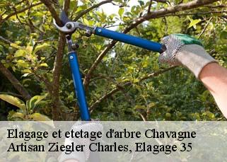 Elagage et etetage d'arbre  chavagne-35310 Artisan Ziegler Charles, Elagage 35