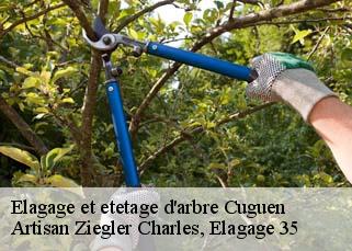 Elagage et etetage d'arbre  cuguen-35270 Artisan Ziegler Charles, Elagage 35