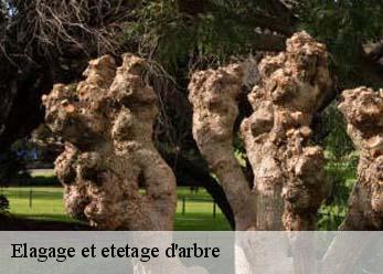 Elagage et etetage d'arbre