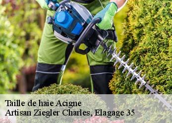 Taille de haie  acigne-35690 Artisan Ziegler Charles, Elagage 35