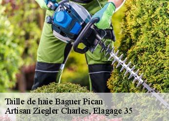 Taille de haie  baguer-pican-35120 Artisan Ziegler Charles, Elagage 35