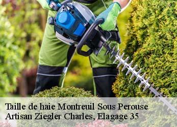 Taille de haie  montreuil-sous-perouse-35500 Artisan Ziegler Charles, Elagage 35