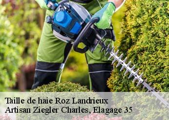 Taille de haie roz-landrieux-35120 Artisan Ziegler Charles, Elagage 35