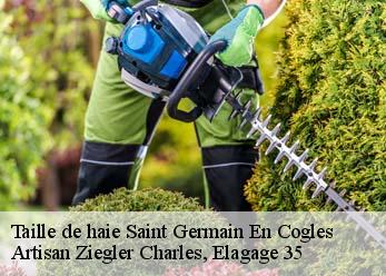Taille de haie saint-germain-en-cogles-35133 Artisan Ziegler Charles, Elagage 35