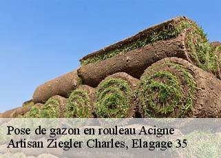 Pose de gazon en rouleau  acigne-35690 Artisan Ziegler Charles, Elagage 35