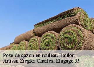 Pose de gazon en rouleau  baulon-35580 Artisan Ziegler Charles, Elagage 35