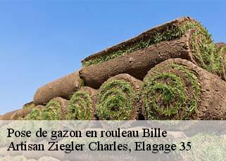 Pose de gazon en rouleau  bille-35133 Artisan Ziegler Charles, Elagage 35