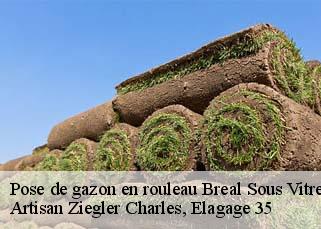 Pose de gazon en rouleau  breal-sous-vitre-35370 Artisan Ziegler Charles, Elagage 35