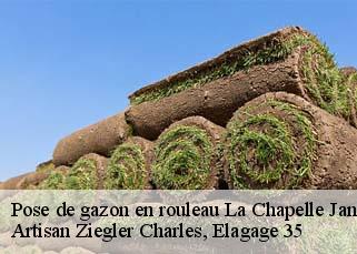 Pose de gazon en rouleau la-chapelle-janson-35133 Artisan Ziegler Charles, Elagage 35