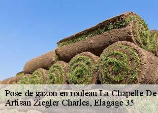 Pose de gazon en rouleau la-chapelle-de-brain-35660 Artisan Ziegler Charles, Elagage 35