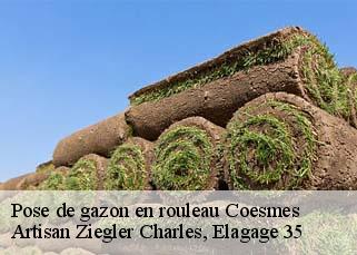 Pose de gazon en rouleau coesmes-35134 Artisan Ziegler Charles, Elagage 35