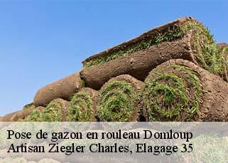 Pose de gazon en rouleau domloup-35410 Artisan Ziegler Charles, Elagage 35