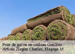 Pose de gazon en rouleau  guichen-35580 Artisan Ziegler Charles, Elagage 35
