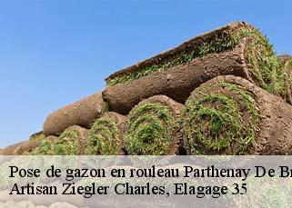 Pose de gazon en rouleau parthenay-de-bretagne-35850 Artisan Ziegler Charles, Elagage 35