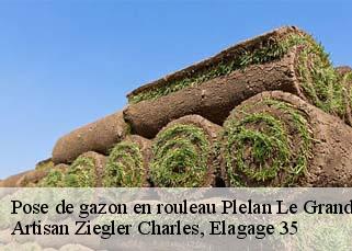 Pose de gazon en rouleau  plelan-le-grand-35380 Artisan Ziegler Charles, Elagage 35