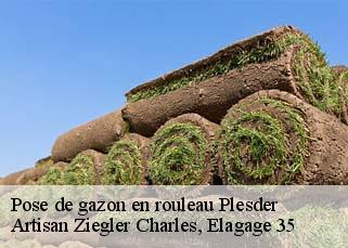 Pose de gazon en rouleau plesder-35720 Artisan Ziegler Charles, Elagage 35
