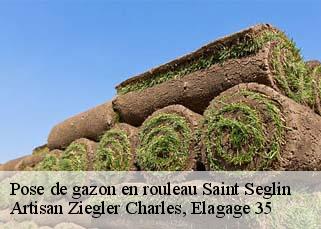 Pose de gazon en rouleau  saint-seglin-35330 Artisan Ziegler Charles, Elagage 35