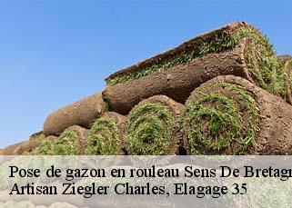 Pose de gazon en rouleau  sens-de-bretagne-35490 Artisan Ziegler Charles, Elagage 35