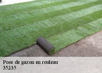 Pose de gazon en rouleau 35235