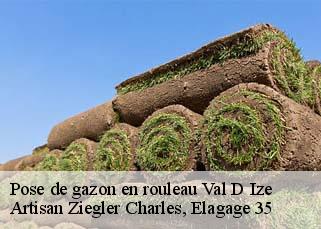Pose de gazon en rouleau val-d-ize-35450 Artisan Ziegler Charles, Elagage 35