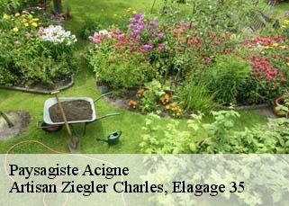Paysagiste  acigne-35690 Artisan Ziegler Charles, Elagage 35