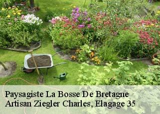 Paysagiste  la-bosse-de-bretagne-35320 Artisan Ziegler Charles, Elagage 35