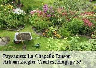 Paysagiste la-chapelle-janson-35133 Artisan Ziegler Charles, Elagage 35