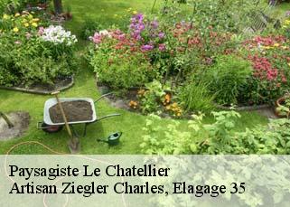 Paysagiste  le-chatellier-35133 Artisan Ziegler Charles, Elagage 35