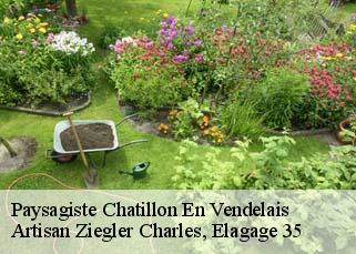 Paysagiste  chatillon-en-vendelais-35210 Artisan Ziegler Charles, Elagage 35