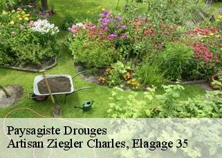 Paysagiste  drouges-35130 Artisan Ziegler Charles, Elagage 35