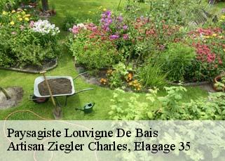 Paysagiste  louvigne-de-bais-35680 Artisan Ziegler Charles, Elagage 35