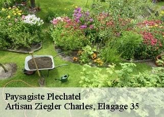 Paysagiste  plechatel-35470 Artisan Ziegler Charles, Elagage 35