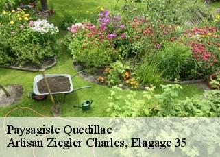 Paysagiste quedillac-35290 Artisan Ziegler Charles, Elagage 35