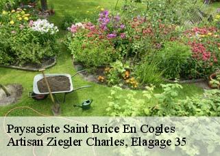 Paysagiste  saint-brice-en-cogles-35460 Artisan Ziegler Charles, Elagage 35