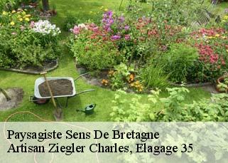 Paysagiste sens-de-bretagne-35490 Artisan Ziegler Charles, Elagage 35