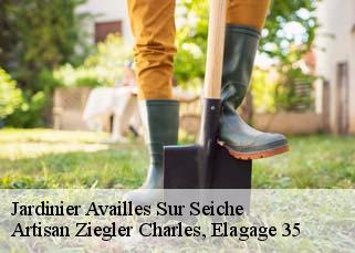Jardinier  availles-sur-seiche-35130 Artisan Ziegler Charles, Elagage 35