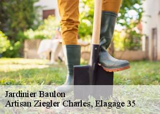 Jardinier baulon-35580 Artisan Ziegler Charles, Elagage 35