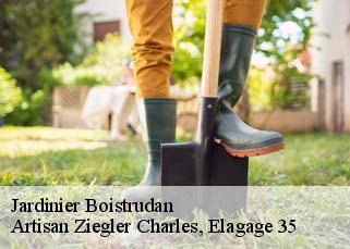 Jardinier  boistrudan-35150 Artisan Ziegler Charles, Elagage 35